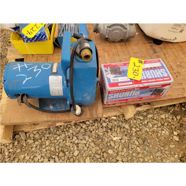 1/3 HP water pump & Shurflo water pump
