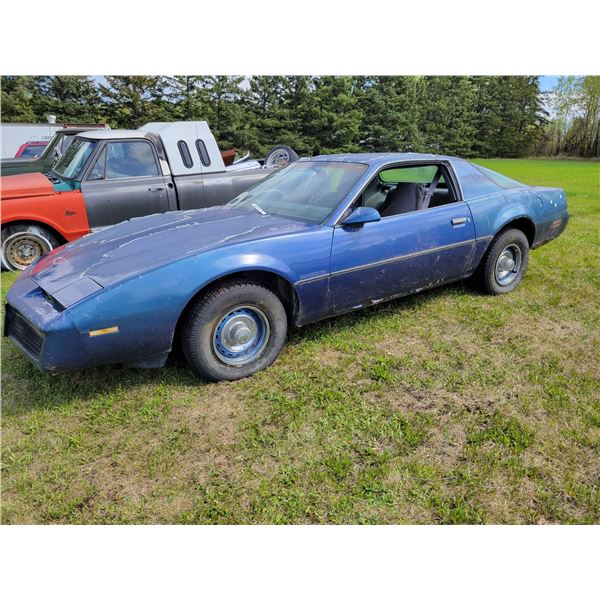 Blue Firebird, sold for parts (West Yard)