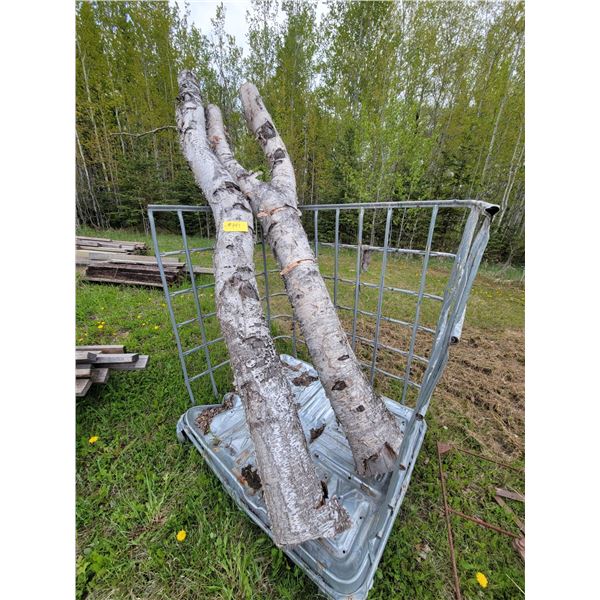 1- Cage c/w 2- lengths of birch