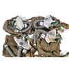 Image 2 : RUSSIA Post WW II 4 Grey Gas Masks New