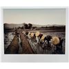 Image 2 : Reiji Esaki Japan Culture Du Riz Paddy Rice Fields Asia