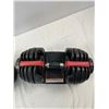 Image 2 : Adjustable Weights
