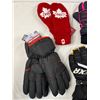 Image 2 : Assorted Men's and Ladies Gloves
