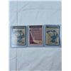 Image 8 : Assorted Hockey Cards