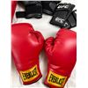 Image 2 : Boxing Lot
