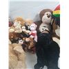 Image 3 : Assorted Stuffed Animals
