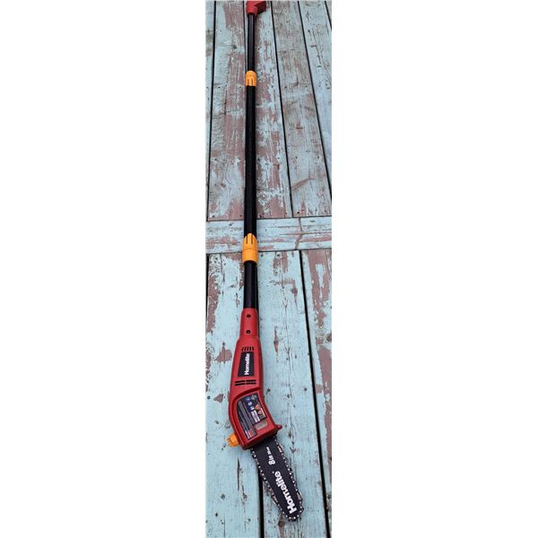 Homelite Pole Saw