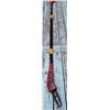 Image 1 : Homelite Pole Saw