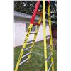 Image 2 : Portable Featherlite Ladder