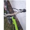 Image 8 : Bicycles