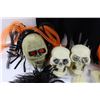 Image 2 : Various Halloween Decor./Costume