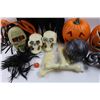 Image 4 : Various Halloween Decor./Costume