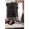 Image 1 : Various Halloween Decor./Costume, Lights