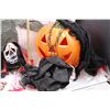 Image 5 : Various Halloween Decor./Costume