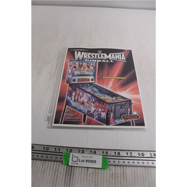 (4) Pages Pinball Flyers