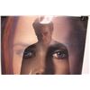 Image 2 : Nocturnal Animals Movie Poster - 27" x 40"