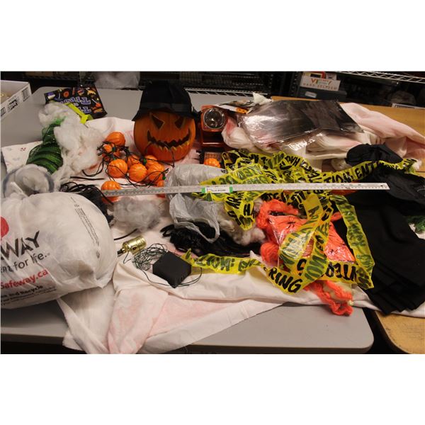 Halloween Decor - Drop Sheets - Cotton Webbing - Jack-O-Lantern - Pumpkin String Lights - Misc. Item