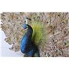 Image 2 : Resin Peacock