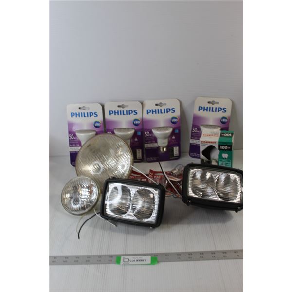 Assorted Light Bulbs & Light Fixtures