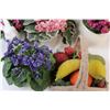 Image 2 : (5) Vases / Planters with Artificial Flowers