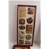 Image 5 : (4) Picture Frames - 8 3/4" x 21", 12 3/4" x 15 3/4", As Is