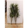 * (2) Artificial Tropical Plant - 64