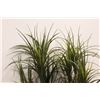 Image 2 : * (2) Artificial Tropical Plant - 64" Tall