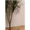 Image 3 : * (2) Artificial Tropical Plant - 64" Tall