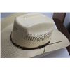 Image 4 : (3) Cowboy Hats