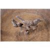 Image 2 : Cast Iron Bird Bath