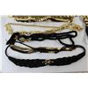 Image 2 : Assorted Costume Belts