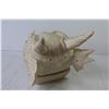 Image 3 : Dragon Head - Movable Jaw (15" long)