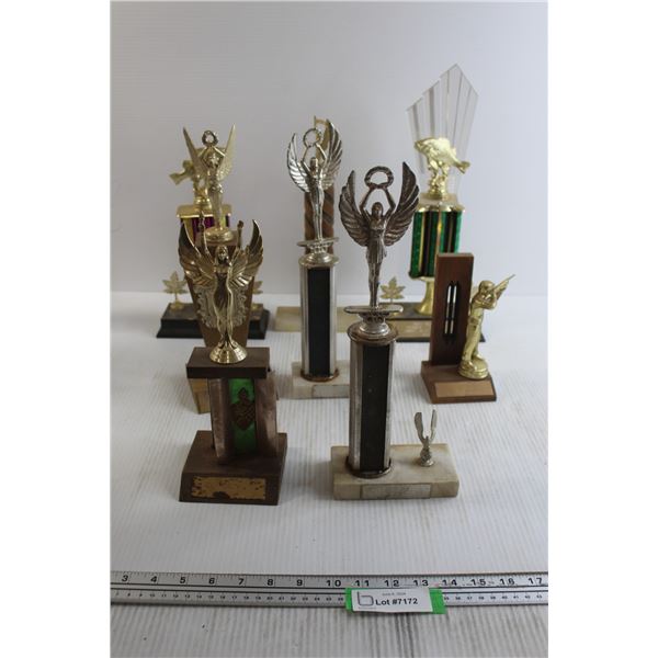 (8) Assorted Trophies