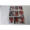 Image 6 : (6) Pages of Calgary Flames Hockey Player Cards