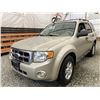 Image 3 : C6 --  2010 FORD ESCAPE GOLD 174340 KMS