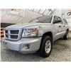 Image 2 : A12N --  2008 DODGE DAKOTA SXT SILVER 200605 KMS