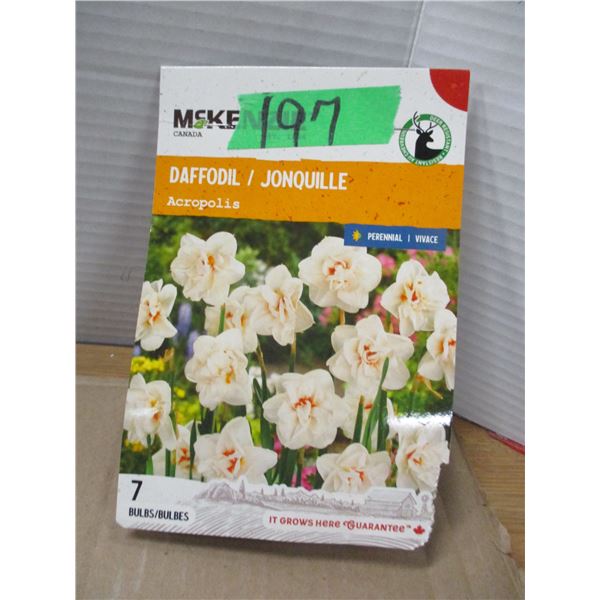 SHELF PULLS (AS IS):  DAFFODIL BULBS (7)