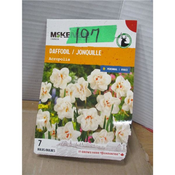 SHELF PULLS (AS IS):  DAFFODIL BULBS (7)