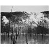 Image 1 : Adams - Roaring Mountain, Yellowstone National Park