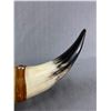 Image 2 : Large Bullhorns Mounted on Board