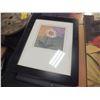 Image 6 : Assorted Picture Lot