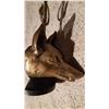 Image 4 : Brass Fox Head Stand A