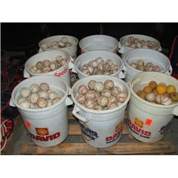 (LOT) PRACTICE BASEBALLS & BASEBALLS.