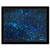 Image 1 : Untitled by Wyland Original