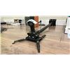 Image 2 : DOWN PROJECTION CEILING MOUNT