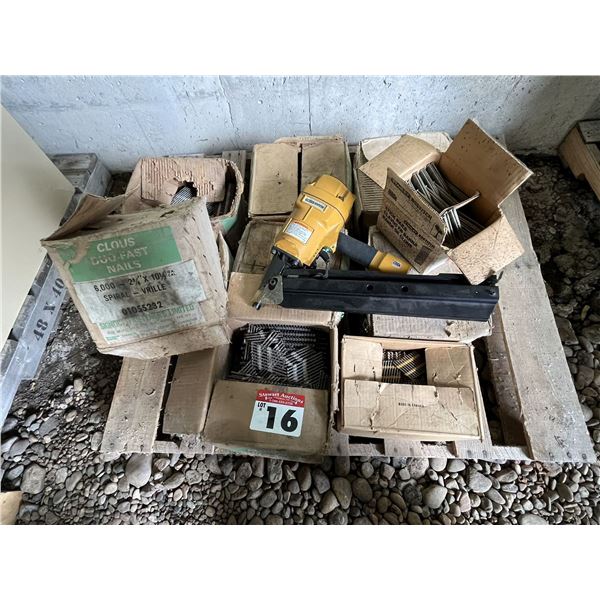 Air Nailer & Boxes of Nails