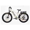 Image 1 : Bakcou Flatlander Electric Bike