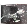 Image 2 : STAR TREK SHIPS OF THE LINE HARDCOVER BOOK