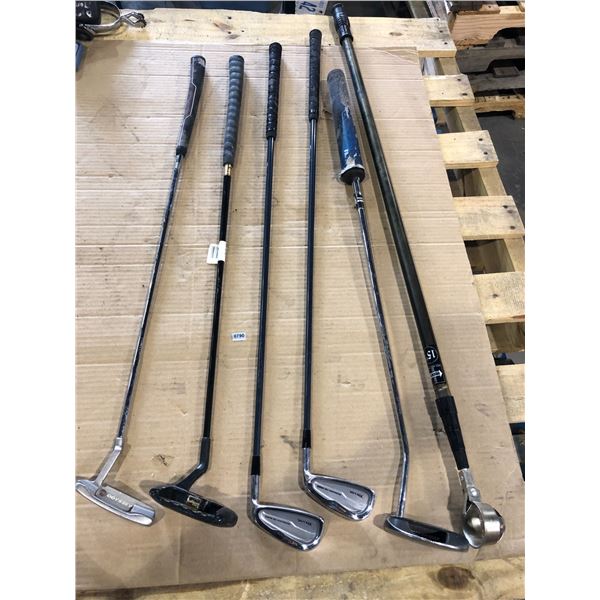 Lot of 6 Assorted Golf Clubs/Putters - Used