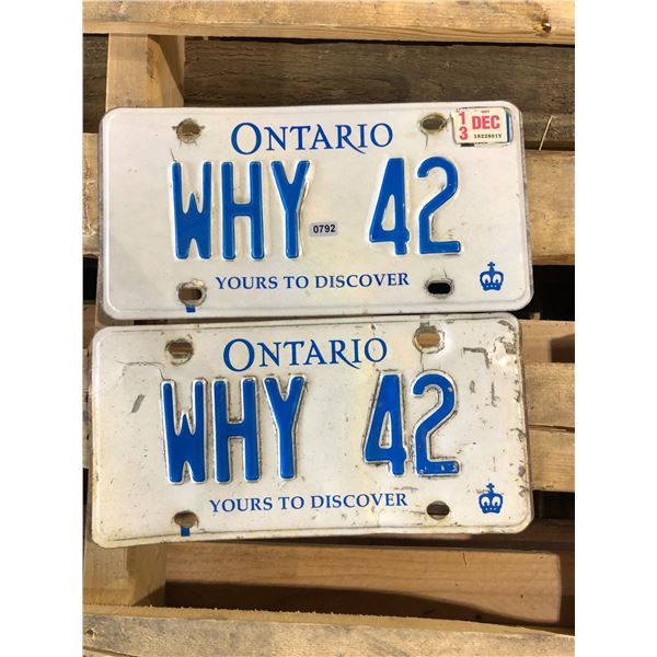Lot of 2 License Plates - Used